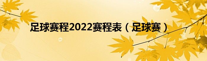 足球赛程2022赛程表（足球赛）