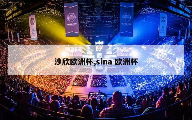 沙欣欧洲杯,sina 欧洲杯