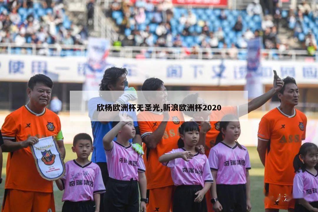 欣杨欧洲杯无圣光,新浪欧洲杯2020