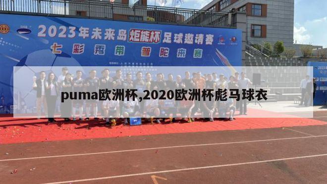 puma欧洲杯,2020欧洲杯彪马球衣