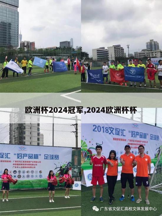 欧洲杯2024冠军,2024欧洲杯杯