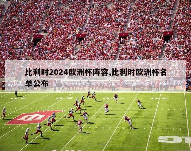 比利时2024欧洲杯阵容,比利时欧洲杯名单公布